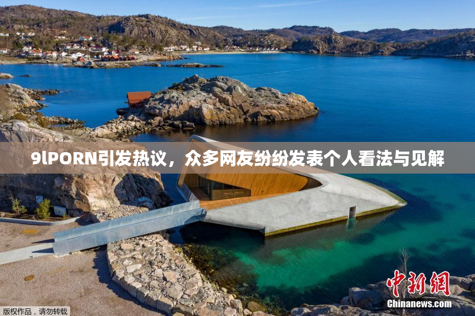9lPORN引发热议，众多网友纷纷发表个人看法与见解