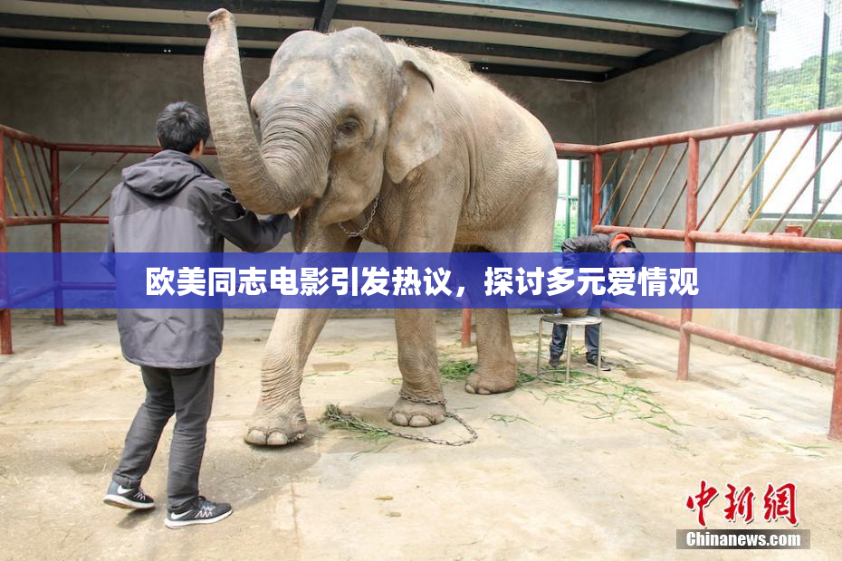 欧美同志电影引发热议，探讨多元爱情观