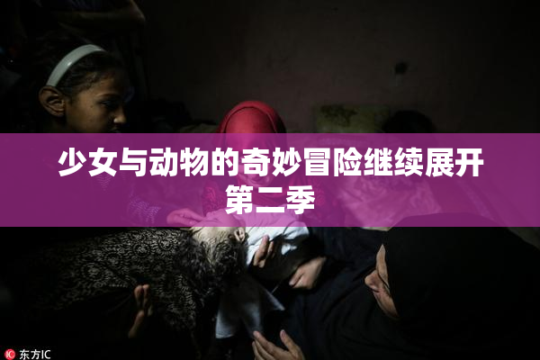 少女与动物的奇妙冒险继续展开第二季
