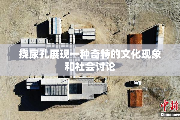 挠尿孔展现一种奇特的文化现象和社会讨论