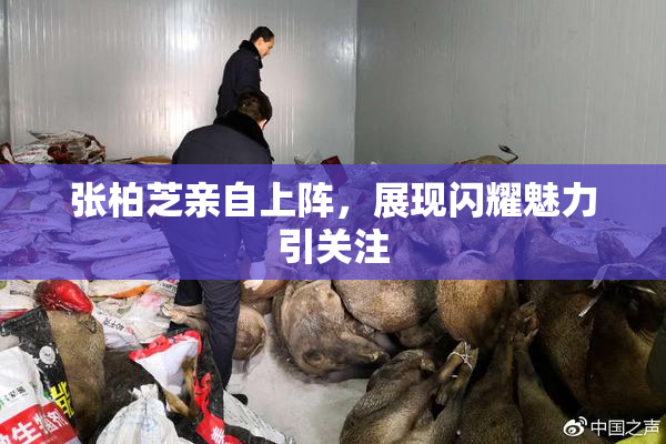 张柏芝亲自上阵，展现闪耀魅力引关注