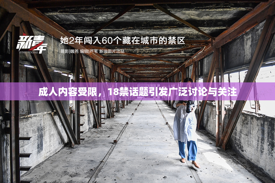 成人内容受限，18禁话题引发广泛讨论与关注