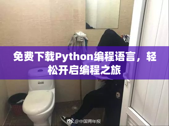 免费下载Python编程语言，轻松开启编程之旅
