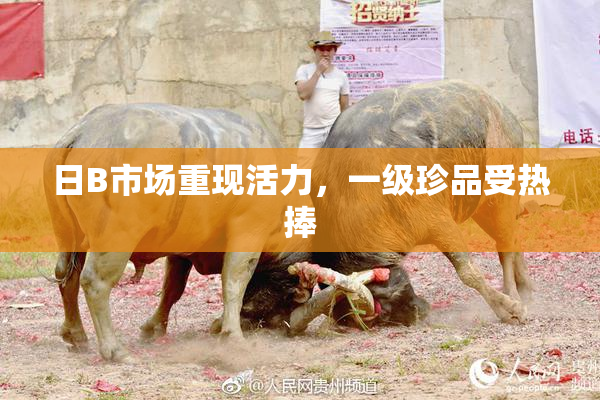 日B市场重现活力，一级珍品受热捧