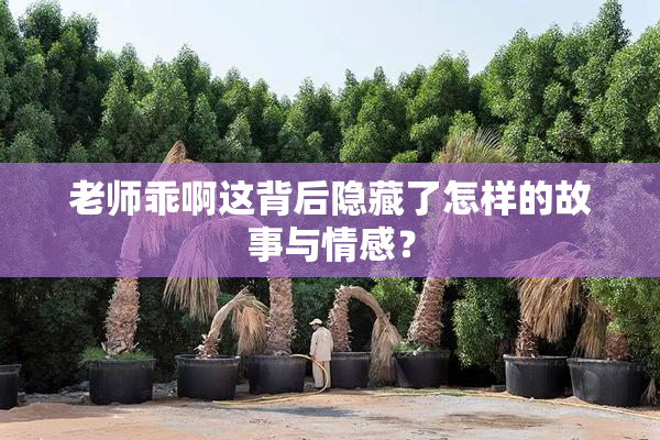 老师乖啊这背后隐藏了怎样的故事与情感？