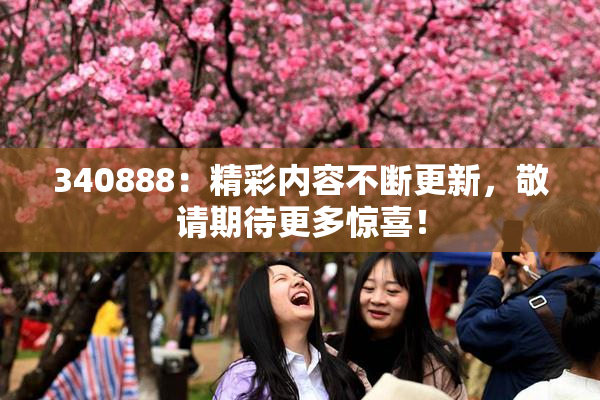 340888：精彩内容不断更新，敬请期待更多惊喜！