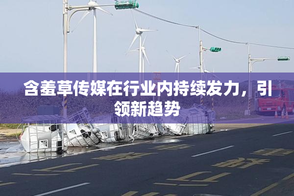 含羞草传媒在行业内持续发力，引领新趋势