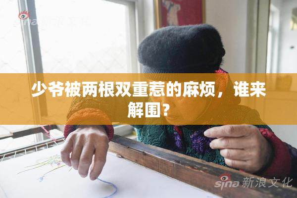 少爷被两根双重惹的麻烦，谁来解围？