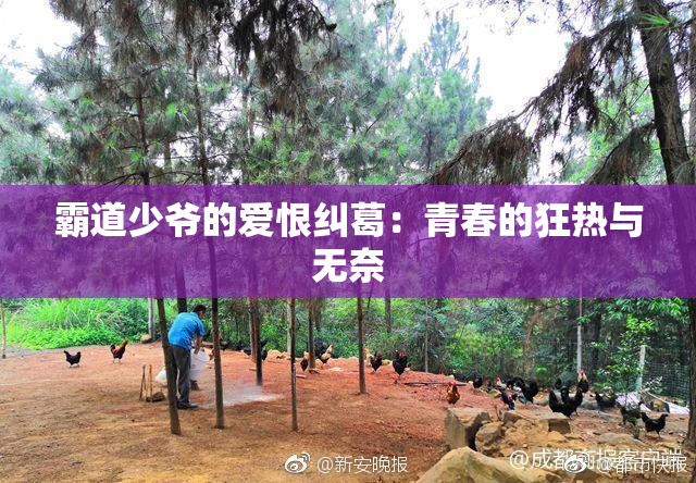 霸道少爷的爱恨纠葛：青春的狂热与无奈