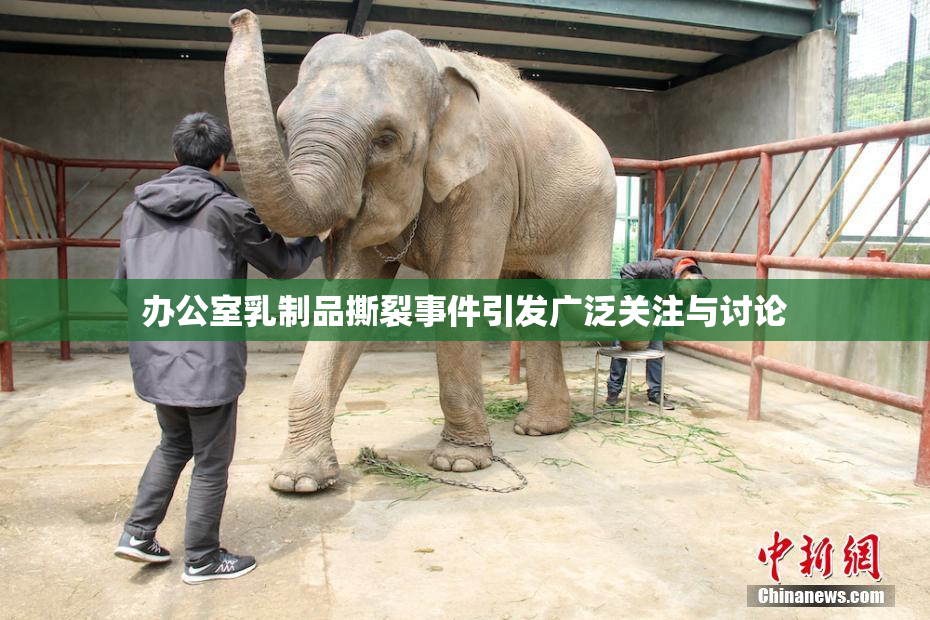 办公室乳制品撕裂事件引发广泛关注与讨论