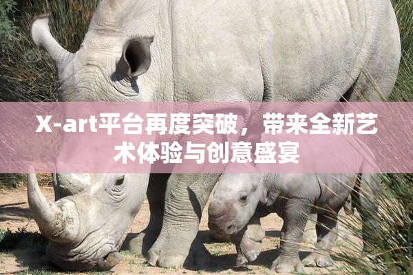 X-art平台再度突破，带来全新艺术体验与创意盛宴