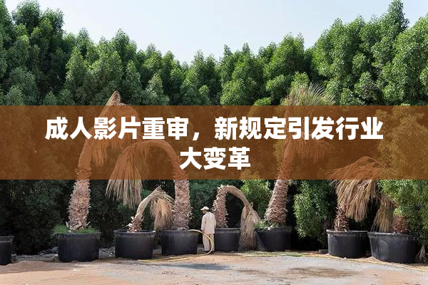 成人影片重审，新规定引发行业大变革