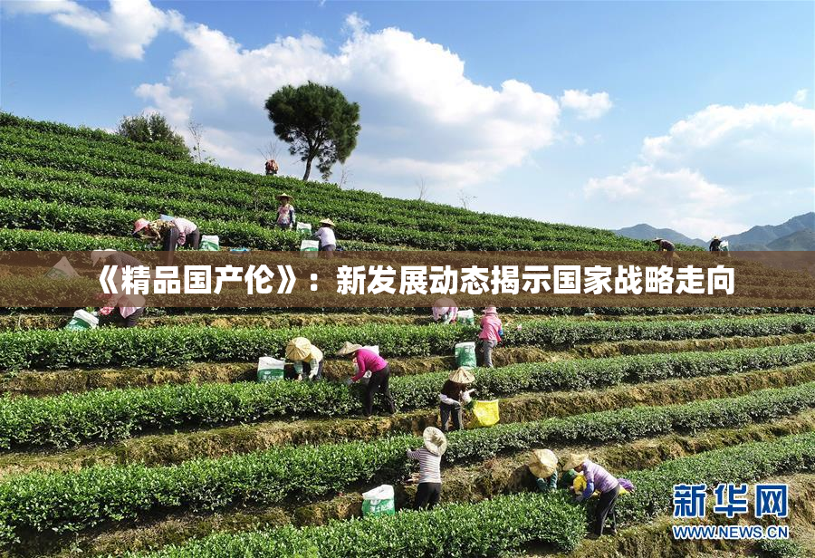 《精品国产伦》：新发展动态揭示国家战略走向