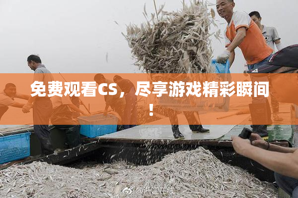 免费观看CS，尽享游戏精彩瞬间！