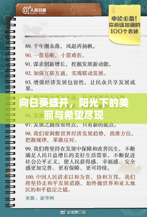 向日葵盛开，阳光下的美丽与希望尽现