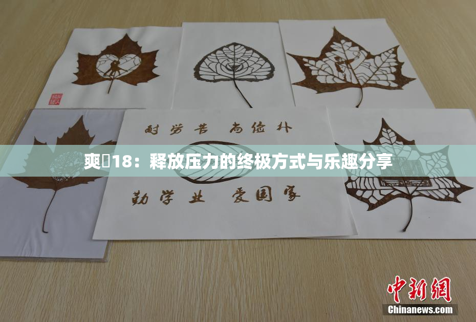 爽擼18：释放压力的终极方式与乐趣分享