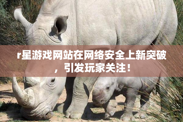 r星游戏网站在网络安全上新突破，引发玩家关注！
