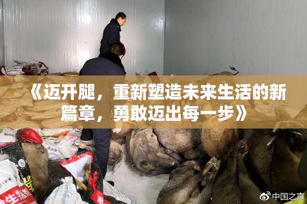 《迈开腿，重新塑造未来生活的新篇章，勇敢迈出每一步》