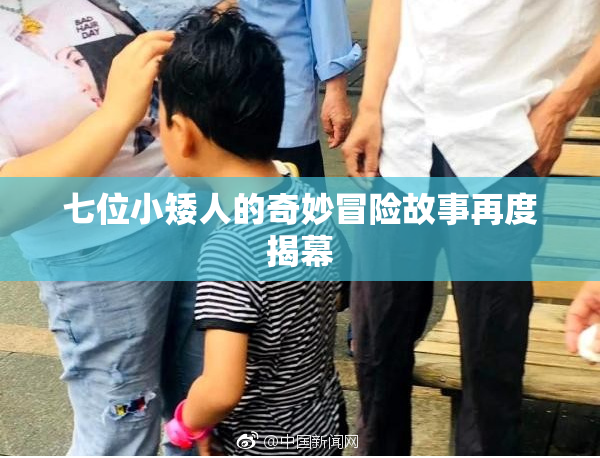 七位小矮人的奇妙冒险故事再度揭幕