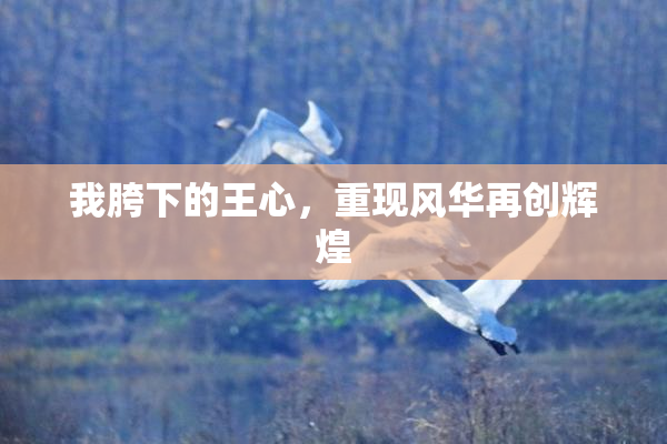 我胯下的王心，重现风华再创辉煌