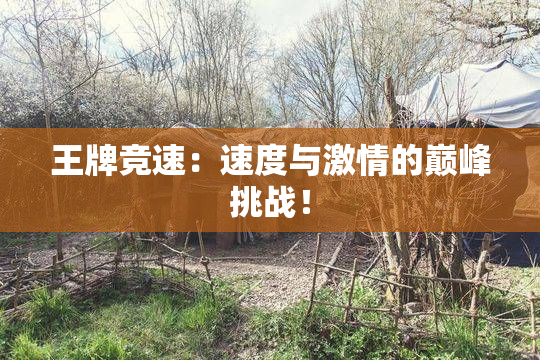王牌竞速：速度与激情的巅峰挑战！
