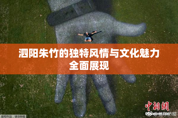 泗阳朱竹的独特风情与文化魅力全面展现