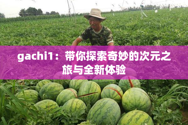 gachi1：带你探索奇妙的次元之旅与全新体验