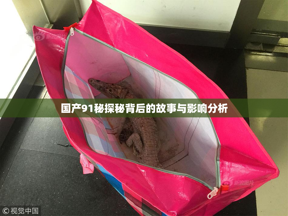 国产91秘探秘背后的故事与影响分析