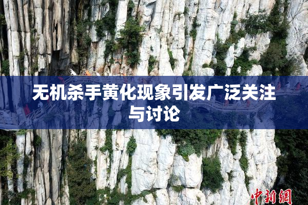 无机杀手黄化现象引发广泛关注与讨论