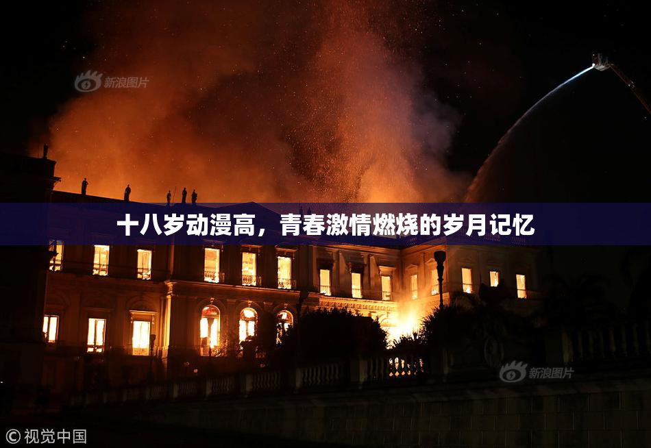 十八岁动漫高，青春激情燃烧的岁月记忆
