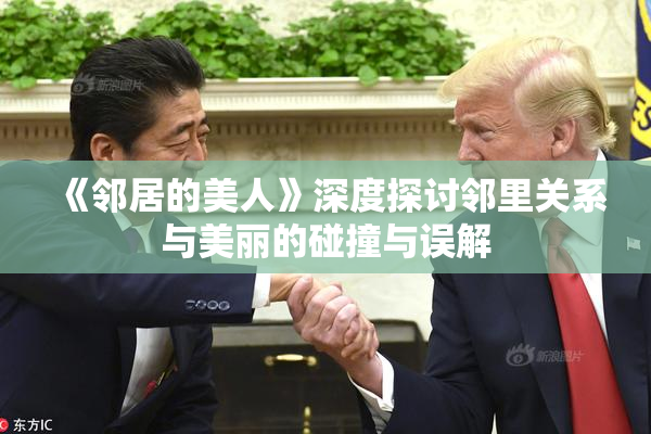 《邻居的美人》深度探讨邻里关系与美丽的碰撞与误解