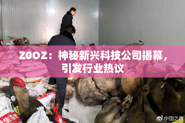 Z0OZ：神秘新兴科技公司揭幕，引发行业热议