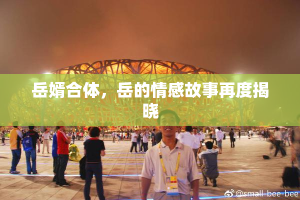 岳婿合体，岳的情感故事再度揭晓