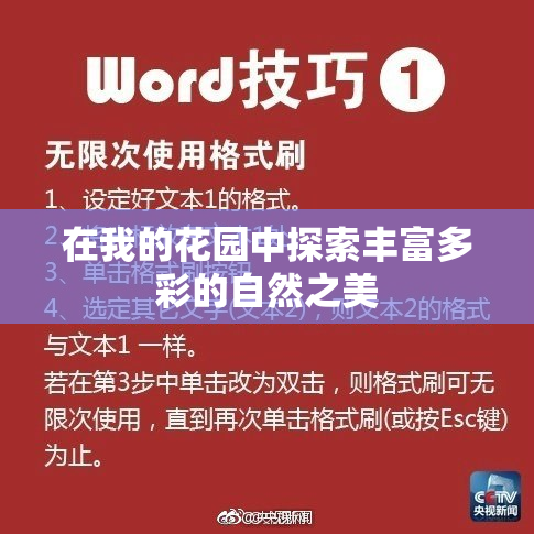 在我的花园中探索丰富多彩的自然之美