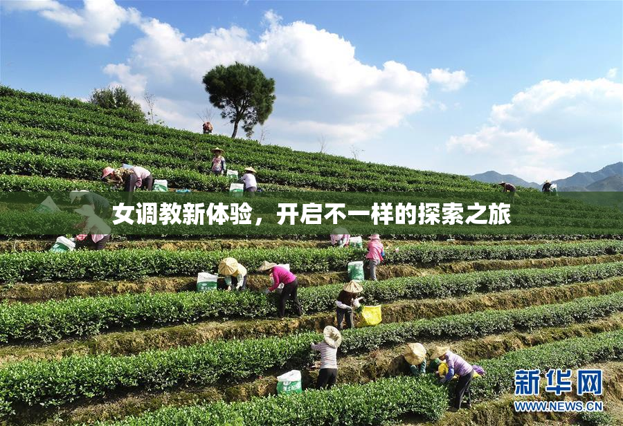 女调教新体验，开启不一样的探索之旅