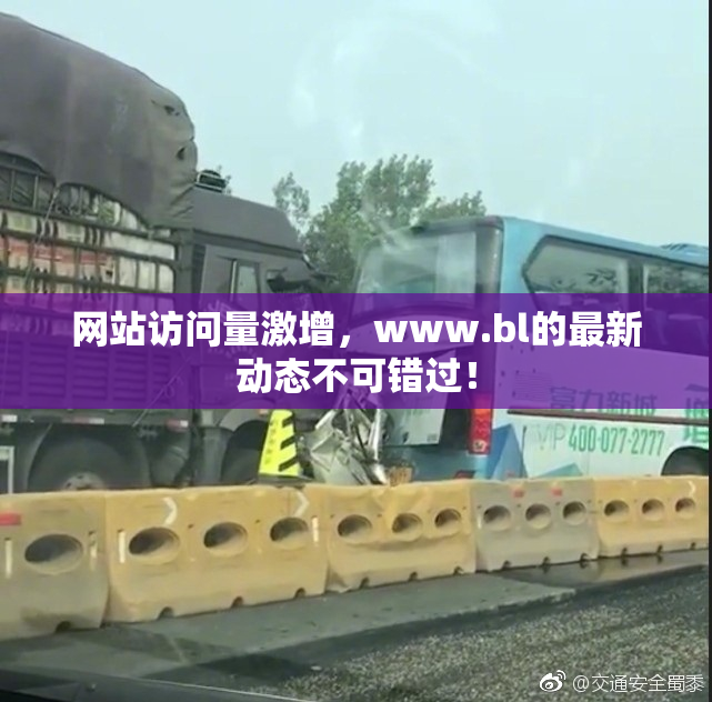 网站访问量激增，www.bl的最新动态不可错过！