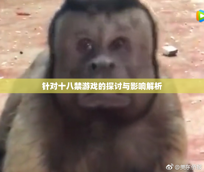 针对十八禁游戏的探讨与影响解析
