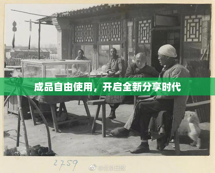 成品自由使用，开启全新分享时代
