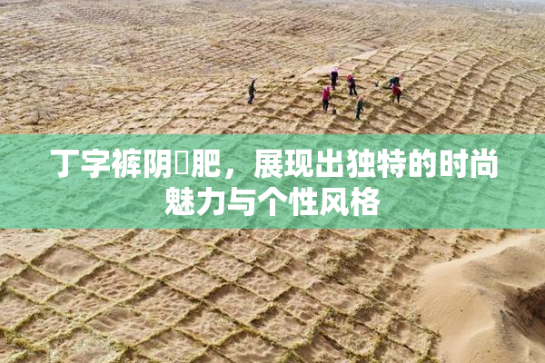 丁字裤阴脣肥，展现出独特的时尚魅力与个性风格