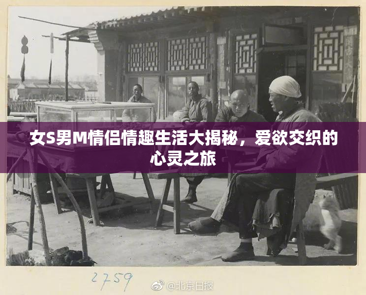 女S男M情侣情趣生活大揭秘，爱欲交织的心灵之旅