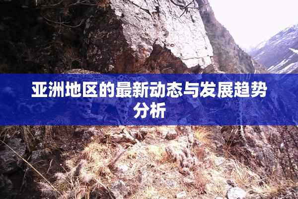 亚洲地区的最新动态与发展趋势分析