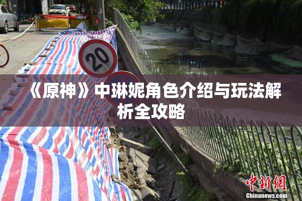 《原神》中琳妮角色介绍与玩法解析全攻略