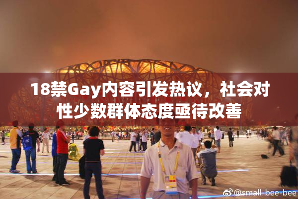 18禁Gay内容引发热议，社会对性少数群体态度亟待改善