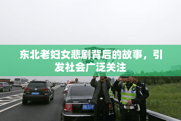 东北老妇女悲剧背后的故事，引发社会广泛关注