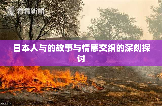 日本人与的故事与情感交织的深刻探讨