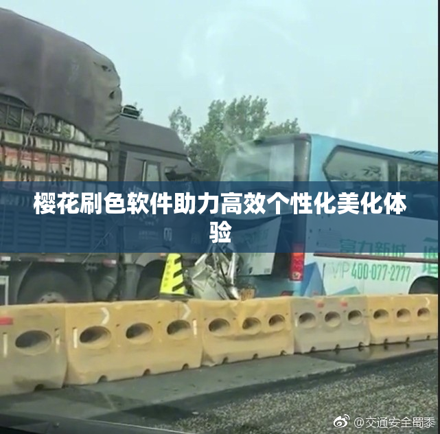 樱花刷色软件助力高效个性化美化体验