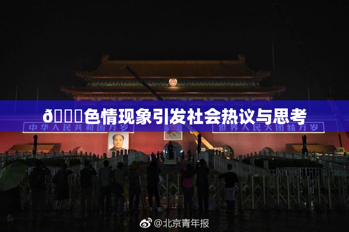 🔞色情现象引发社会热议与思考