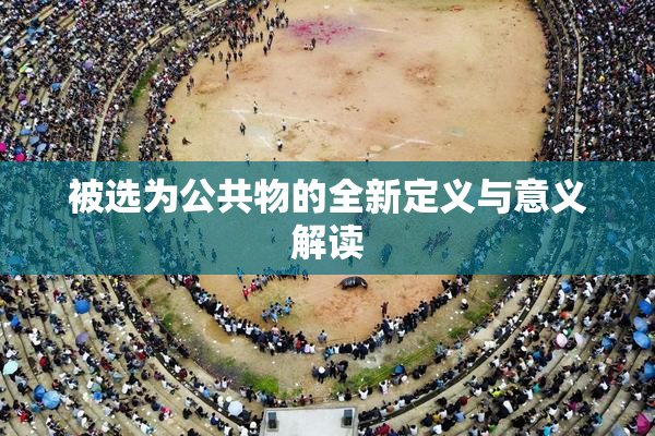 被选为公共物的全新定义与意义解读