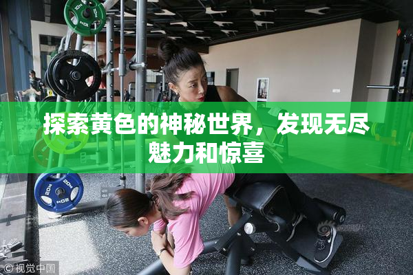 探索黄色的神秘世界，发现无尽魅力和惊喜
