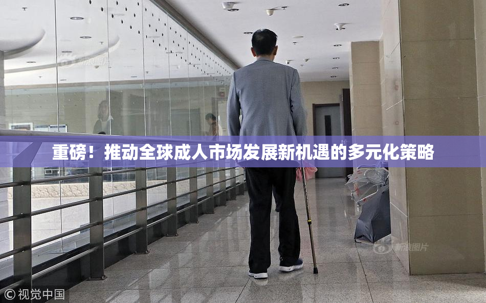 重磅！推动全球成人市场发展新机遇的多元化策略
